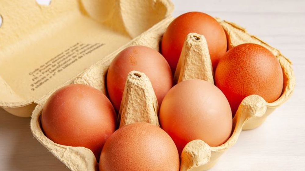 Le prix des œufs rejoint son niveau habituel