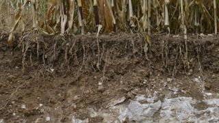 600 milliards de dollars pourraient être stockés dans les sols agricoles 600 milliards de dollars pourraient être stockés dans les sols agricoles