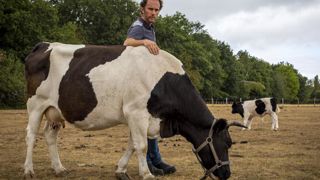 Un éleveur bio sommé d’abandonner son projet Un éleveur bio sommé d’abandonner son projet