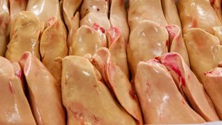 Le foie gras est aussi victime de la crise sanitaire Le foie gras est aussi victime de la crise sanitaire