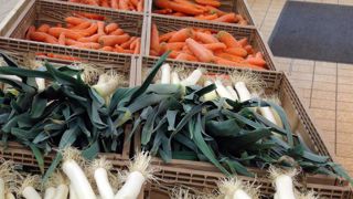 Le chiffre d’affaires des légumes d’hiver recule Le chiffre d’affaires des légumes d’hiver recule