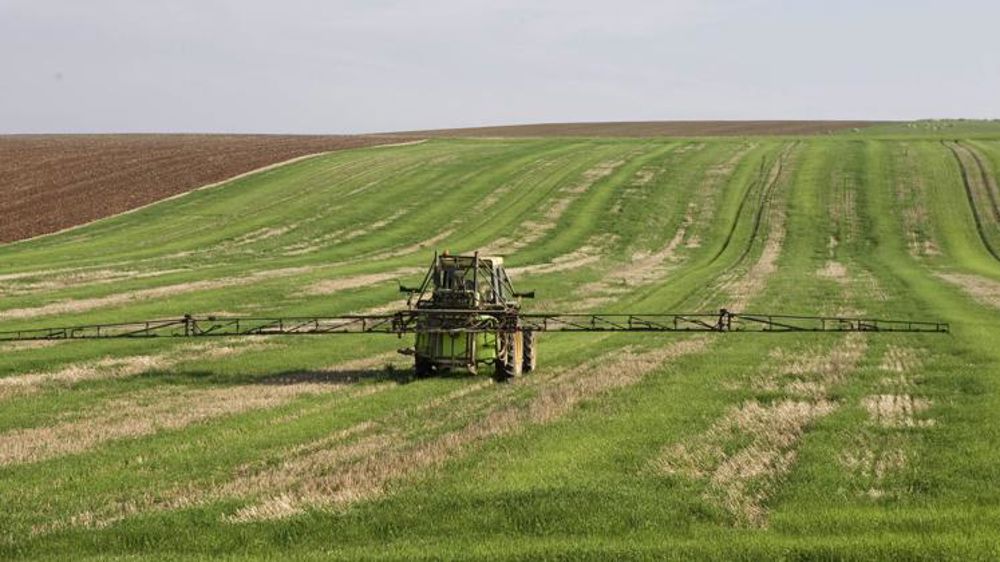 Entre distorsions et renoncement selon les points de vue