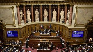 Le projet de loi sur les néonicotinoïdes arrive au Sénat Le projet de loi sur les néonicotinoïdes arrive au Sénat