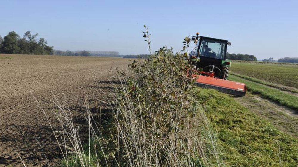 Neuf fiches pratiques pour favoriser la biodiversité