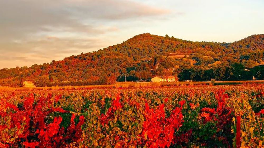 Le joli mois de novembre