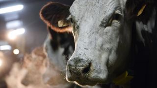 Le prix de revient du lait estimé à 403 €/1 000 litres Le prix de revient du lait estimé à 403 €/1 000 litres