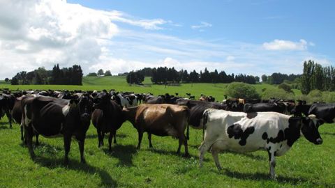 Un accord de libre-échange à risque avec la Nouvelle-Zélande Un accord de libre-échange à risque avec la Nouvelle-Zélande