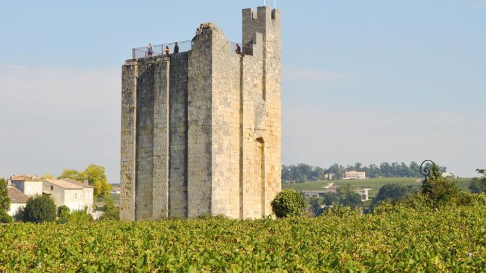 Deux châteaux du Bordelais condamnés après des épandages