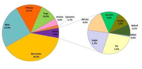 Part des différentes céréales dans la collecte biologique en France en 2019-2020. © FranceAgriMer