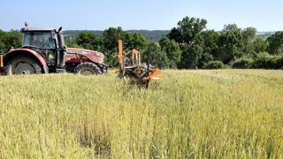 La collecte de céréales bio multipliée par trois en cinq ans La collecte de céréales bio multipliée par trois en cinq ans