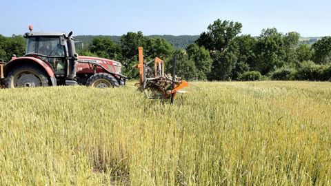 La collecte de céréales bio multipliée par trois en cinq ans La collecte de céréales bio multipliée par trois en cinq ans