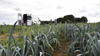 Les producteurs de légumes demandent une revalorisation des prix Les producteurs de légumes demandent une revalorisation des prix