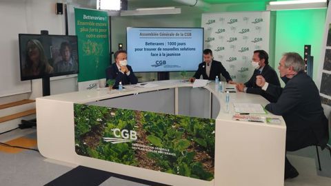 1 000 jours pour trouver des alternatives aux néonicotinoïdes sur betteraves