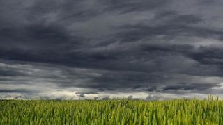 La pluie persévère et la douceur revient La pluie persévère et la douceur revient