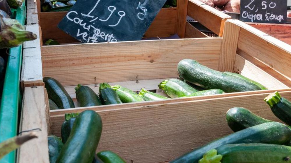 Le prix des courgettes se maintient bien