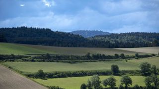 Les quatre pistes d’Emmanuel Macron pour la biodiversité Les quatre pistes d’Emmanuel Macron pour la biodiversité