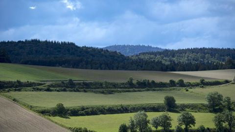 Les quatre pistes d’Emmanuel Macron pour la biodiversité Les quatre pistes d’Emmanuel Macron pour la biodiversité