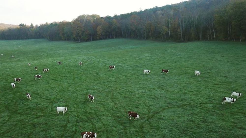 La Commission européenne propose une liste d’éco-régimes