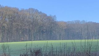 Les agriculteurs ont semé davantage de blé et moins de colza Les agriculteurs ont semé davantage de blé et moins de colza
