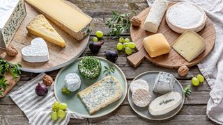 Vers un étiquetage plus informatif pour les fromages au lait cru Vers un étiquetage plus informatif pour les fromages au lait cru