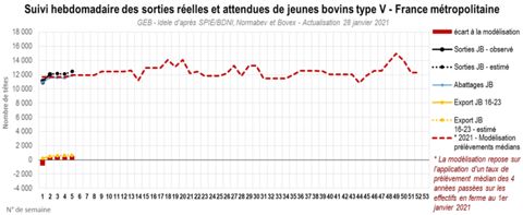 © GEB — Institut de l’Élevage d’après SPIE/BDNI, Normabev et Bovex