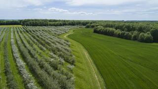 Les conditions d’accès à certaines aides couplées végétales mises à jour Les conditions d’accès à certaines aides couplées végétales mises à jour