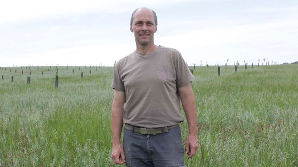 Se diversifier en groupe dans les noyers