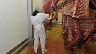 Les abattoirs espagnols devront s’équiper de caméras Les abattoirs espagnols devront s’équiper de caméras