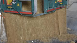 Céréales, colza et soja en hausse, tournesol en baisse Céréales, colza et soja en hausse, tournesol en baisse
