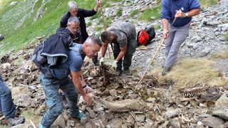 L’ours frappe sans répit L’ours frappe sans répit
