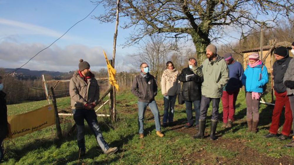 Les élevages de porcs en plein air « en danger »
