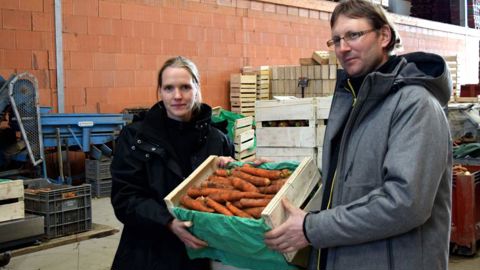 Une nouvelle variété de carottes Une nouvelle variété de carottes