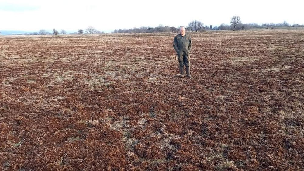 Les prairies dévastées par les rats taupiers