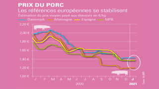 La hausse des cours du porc se fait attendre La hausse des cours du porc se fait attendre