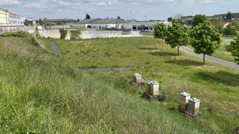 La liste des nouveaux labellisés compte le site industriel de Michelin, à Saint-Doulchard (Cher), près de Bourges. Sa gestion est réalisée par l'entreprise ldverde. La liste des nouveaux labellisés compte le site industriel de Michelin, à Saint-Doulchard (Cher), près de Bourges. Sa gestion est réalisée par l'entreprise ldverde.