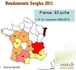 sorgho carte france rendements 2011
