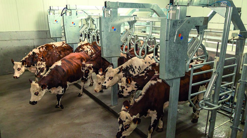 Une stalle parallèle à sortie rapide