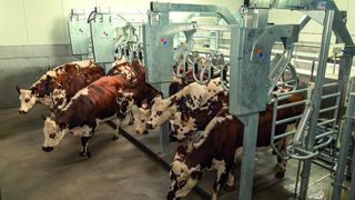 Une stalle parallèle à sortie rapide Une stalle parallèle à sortie rapide