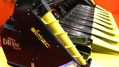 Le cueilleur à tournesol récolte aussi le sorgho