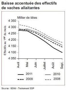 effectif vaches allaitantes