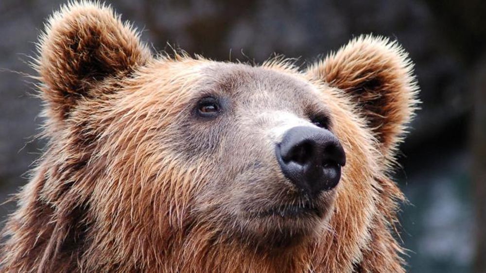 One Voice demande la démission de la préfète de l’Ariège