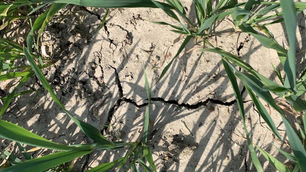 Après la pluie, la sécheresse