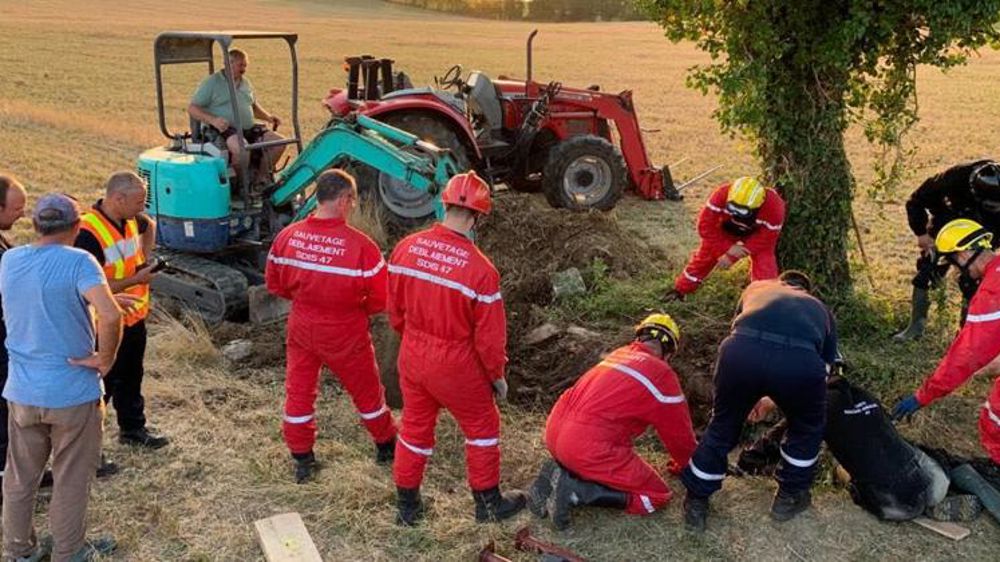 Des pompiers à la rescousse d’une vache tombée dans un puits