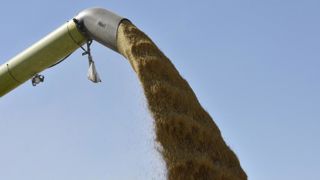 17 millions de dollars pour sauver récoltes et exportations ukrainiennes 17 millions de dollars pour sauver récoltes et exportations ukrainiennes