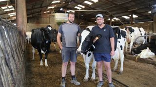 « Nos vaches produisent beaucoup de lait en été, expliquent Maxime Ruiz (à d.) et Stéphane Pons, associés en Gaec. Nous améliorons sans cesse la ventilation et le confort. Nous venons d’équiper toutes les logettes de nouveaux matelas. » « Nos vaches produisent beaucoup de lait en été, expliquent Maxime Ruiz (à d.) et Stéphane Pons, associés en Gaec. Nous améliorons sans cesse la ventilation et le confort. Nous venons d’équiper toutes les logettes de nouveaux matelas. »
