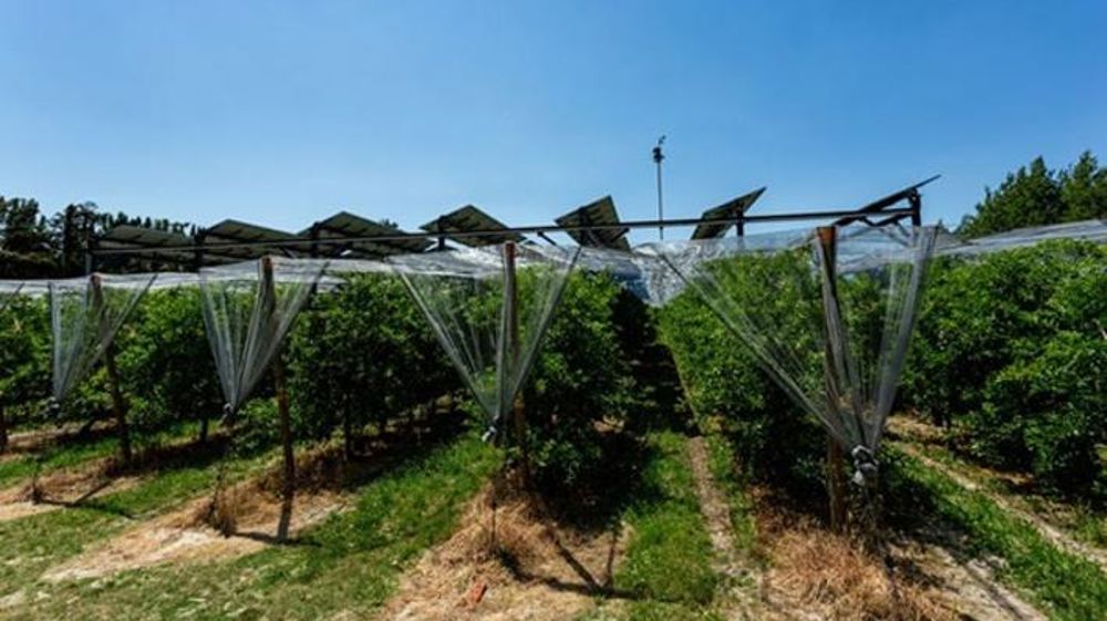 Eiffage est en passe d’acquérir Sun’Agri