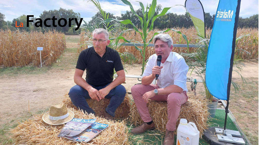 BEST-a maïs d’Elicit Plant : la solution pour réduire le stress hydrique du maïs BEST-a maïs d’Elicit Plant : la solution pour réduire le stress hydrique du maïs