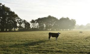 Au 20 septembre 2022, la pousse à l'herbe cumulée depuis le début de l'année était déficitaire de 33 %, en moyenne, sur le territoire métropolitain. Au 20 septembre 2022, la pousse à l'herbe cumulée depuis le début de l'année était déficitaire de 33 %, en moyenne, sur le territoire métropolitain.