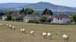 Le calendrier de paiement des aides du Fonds national de gestion des risques agricoles (FNGRA, ex-fonds des calamités) sera avancé pour qu'elles soient versées aux éleveurs avant la fin de l'année 2022. Le calendrier de paiement des aides du Fonds national de gestion des risques agricoles (FNGRA, ex-fonds des calamités) sera avancé pour qu'elles soient versées aux éleveurs avant la fin de l'année 2022.