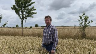 Sur la parcelle agroforestière de Lehaucourt, la densité est de 30 arbres à l'hectare, soit le minimum éligible vis-à-vis des aides (financement à 80% des plants et protections, et à 60% pour l'ensemble du projet). Sur la parcelle agroforestière de Lehaucourt, la densité est de 30 arbres à l'hectare, soit le minimum éligible vis-à-vis des aides (financement à 80% des plants et protections, et à 60% pour l'ensemble du projet).